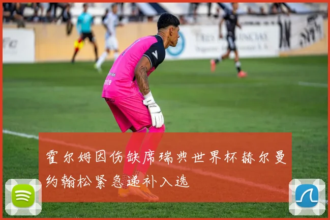 霍尔姆因伤缺席瑞典世界杯赫尔曼约翰松紧急递补入选