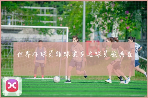世界杯球员赌球案多名球员被调查