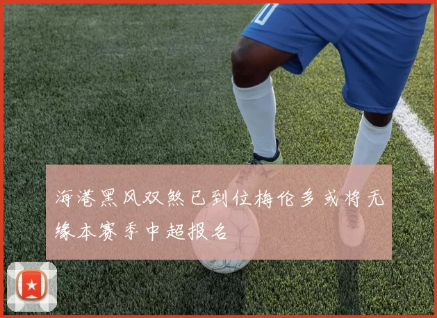 海港黑风双煞已到位梅伦多或将无缘本赛季中超报名