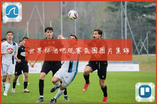世界杯酒吧观赛氛围图片集锦