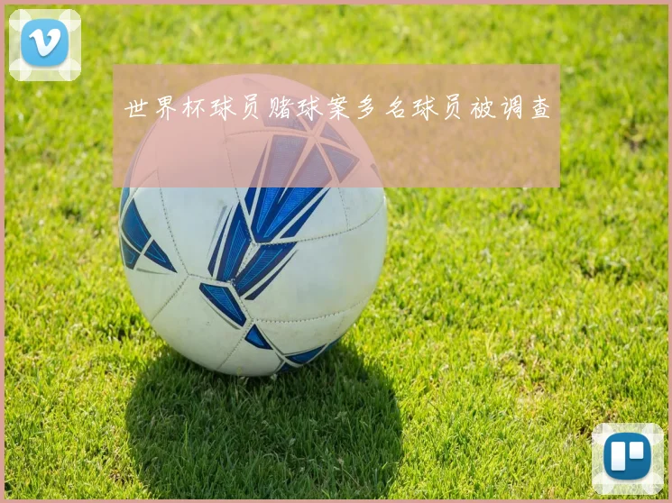 世界杯球员赌球案多名球员被调查