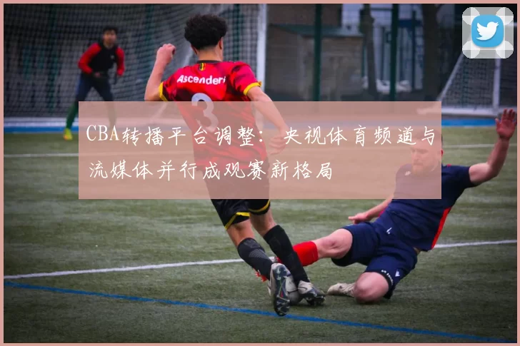 CBA转播平台调整：央视体育频道与流媒体并行成观赛新格局