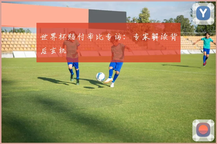 世界杯赔付率比专访:专家解读背后玄机