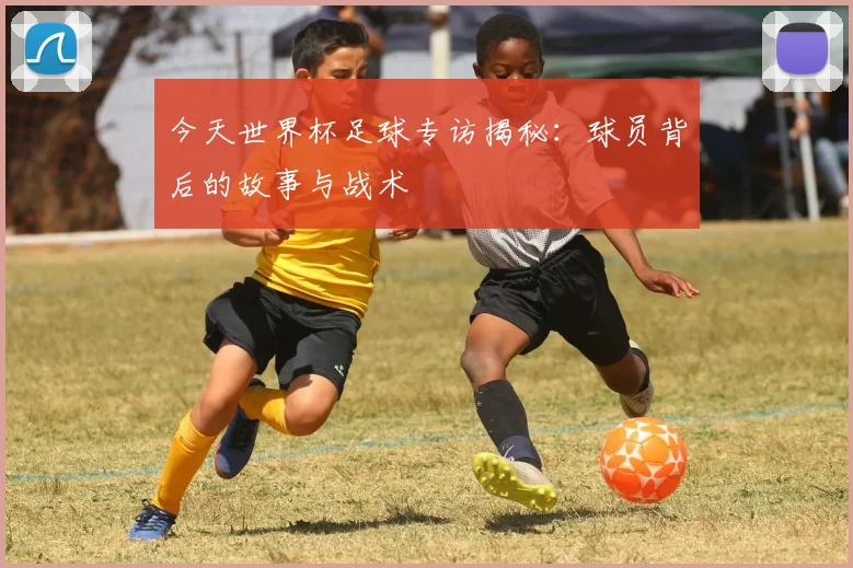 今天世界杯足球专访揭秘：球员背后的故事与战术