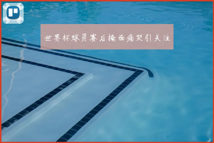 世界杯球员赛后掩面痛哭引关注