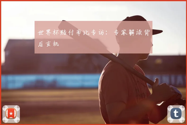 世界杯赔付率比专访:专家解读背后玄机