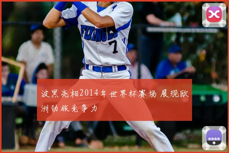 波黑亮相2014年世界杯赛场 展现欧洲劲旅竞争力